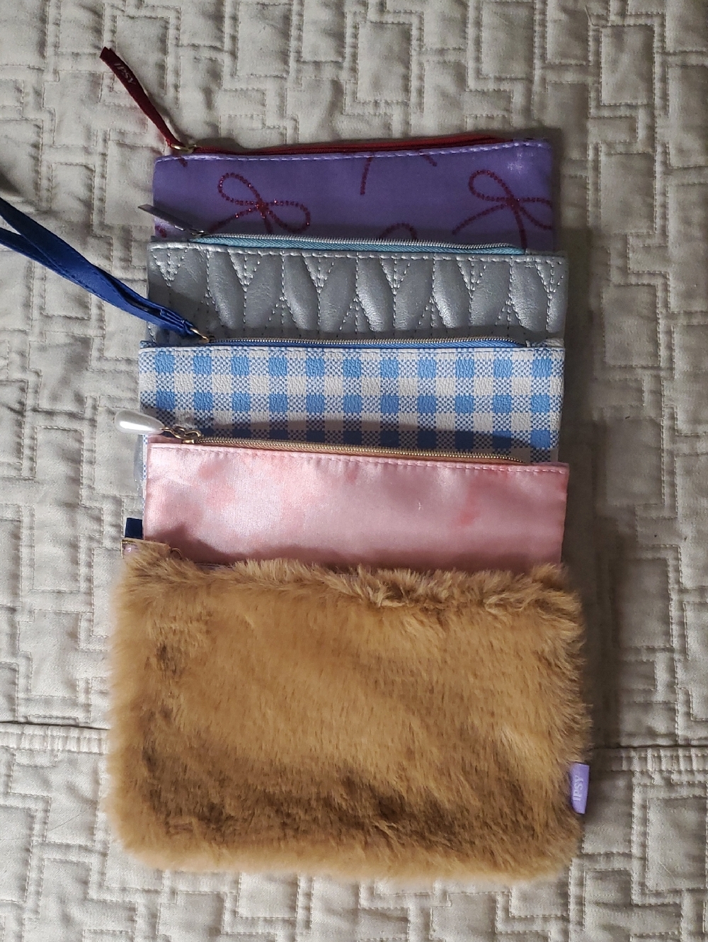 5 ipsy Cosmetic Bag